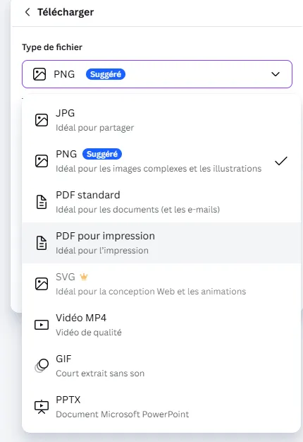 download new files of canva