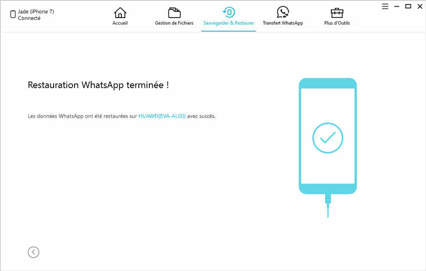 restauration terminee dans icarefone