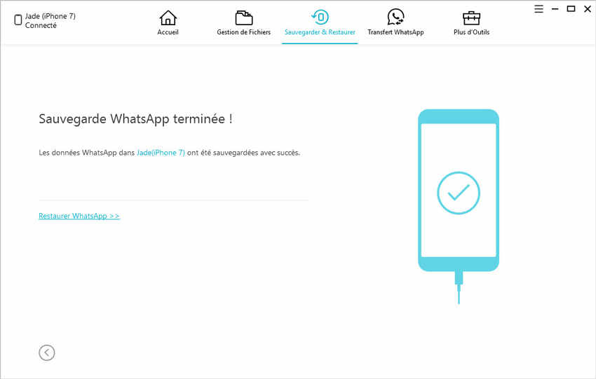 sauvegarde whatsapp terminee avec icarefone