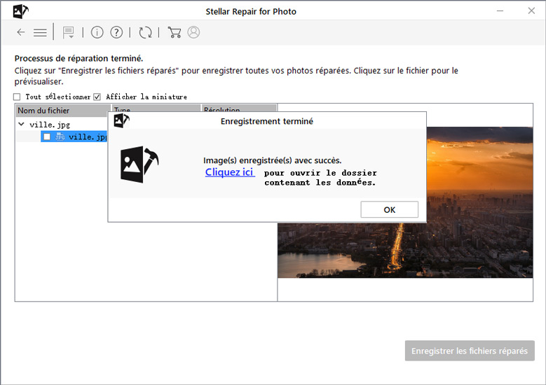 enregistrer photo réparée avec succès - stellar repair for photo