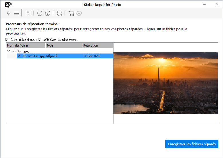 révisualiser photo réparée - stellar repair for photo