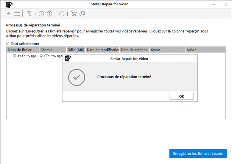 réparation de vidéo terminée