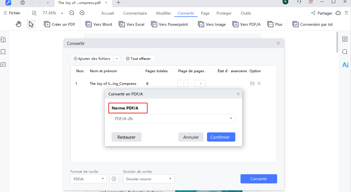 convert to pdf/a settings