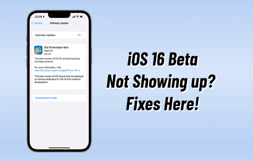ios 16 beta ne s affiche pas