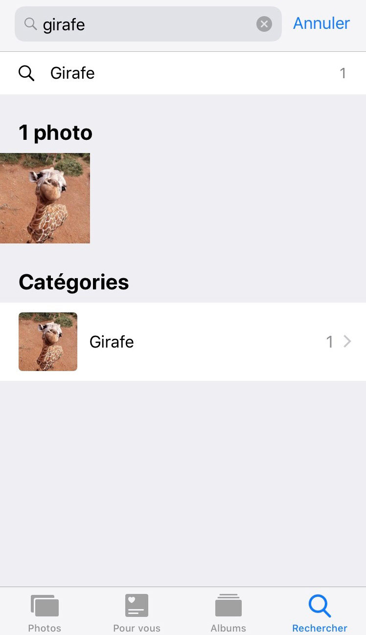 transferer photo ios 12