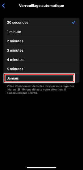 comment garder l'écran allumé iphone