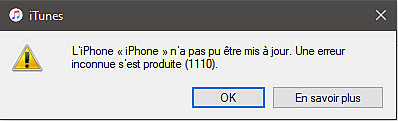 erreur itunes 1110