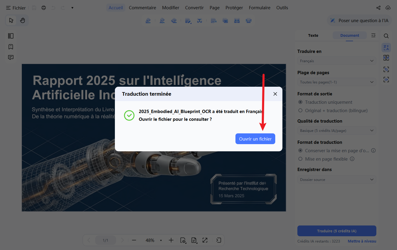 ouvrir le PDF traduit