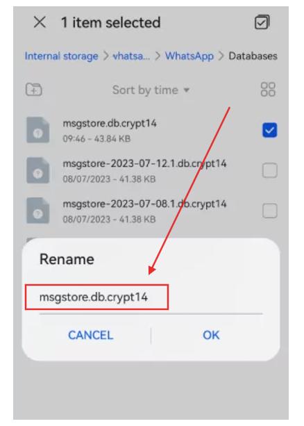access the whatsapp data