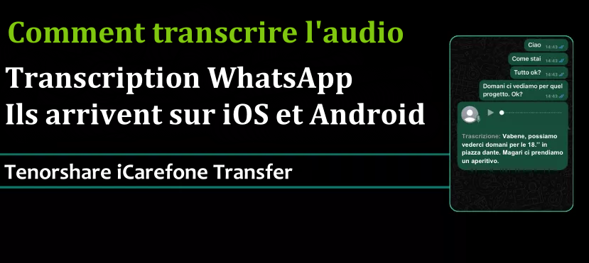 la transcription des messages vocaux sur WhatsApp