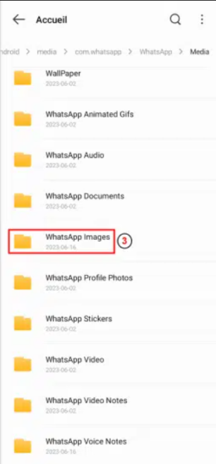 recover from the WhatsApp images