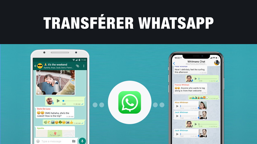 transfert whatsapp