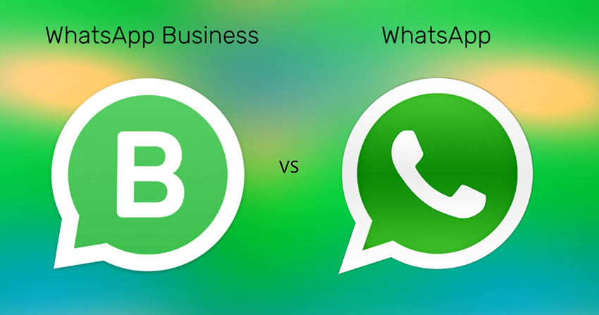 whatsapp contre whatsapp business